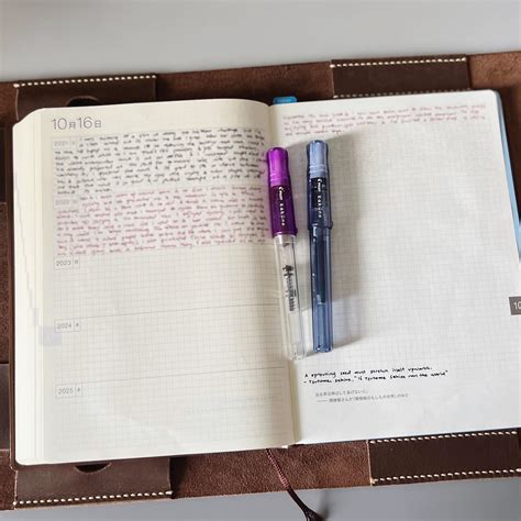 hobonichi 5 year journal.